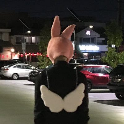 Chwesgirasol's profile picture. 