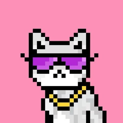 npc_plus's profile picture. $MOG Maximalist. Groyper by proxy.