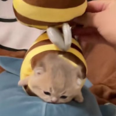 jxsxnge's profile picture. 둔컹은 뭐야 둔컹은…