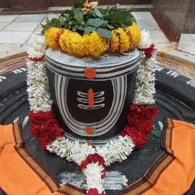 Jitendr35334619's profile picture. 