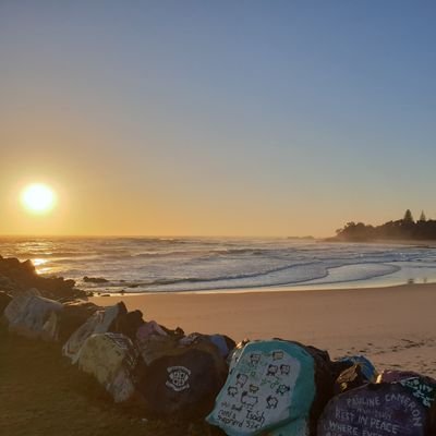 eviethedog65's profile picture. Your entitled to your opinion. So speak it. 
#XRP #BTC #SHIB #HBAR #WAGMI #DEVVE
Well inside the top 1% on the #XRP rich list