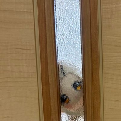 wr_optcg68's profile picture. 04/デッキは好きなキャラ主軸 /学マスは篠澤広P