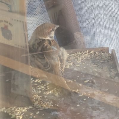 PXv0SBtPga18237's profile picture. 