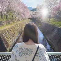 ゆら (@_yurayura_11) 's Twitter Profile Photo