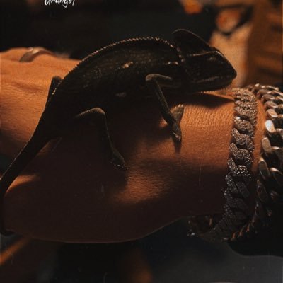 joshunangst's profile picture. #DallasCowboys #BrickByBrick #ThunderUp #RingTheBell