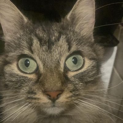 Hampson14Jane's profile picture. 