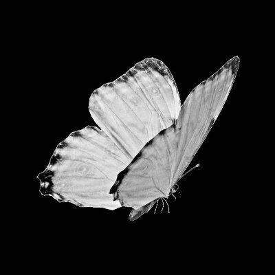 fauxinho's profile picture. dc: faux4