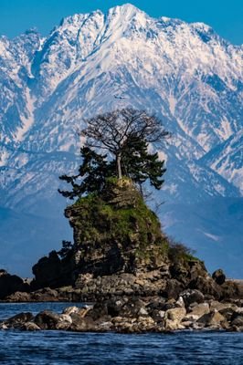 oAZKPrpGFw24138's profile picture. 情報収集＆ポイ活用アカウント。