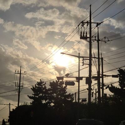 modudasala47897's profile picture. 