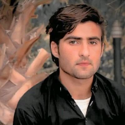 Hanzalazayan's profile picture. 