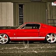 MarkDavissss's profile picture. 