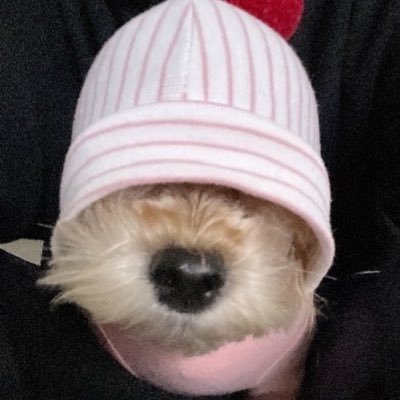 zxnmzmx's profile picture. 김려원 정우연 | 여배만