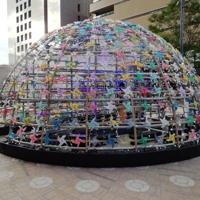 zojN2vUz6068941's profile picture. アカウントを乗っ取られたので新しく作りました。
フェレット大好き！最近フクロウも好き！