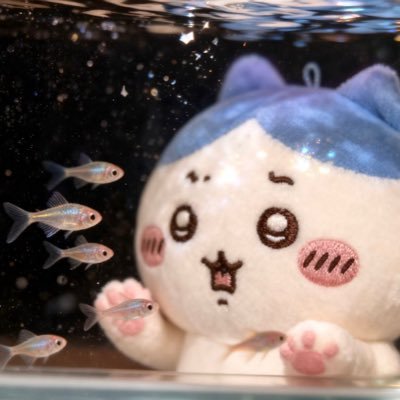 xixyol1's profile picture. 책과 글 그리고 저의 이야기를 기록해요. 가끔은 옷이나 피부 이야기를,  또 영원을 말해요. 📩 mimsuni@naver.com