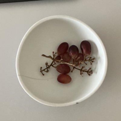 axistocin's profile picture. 