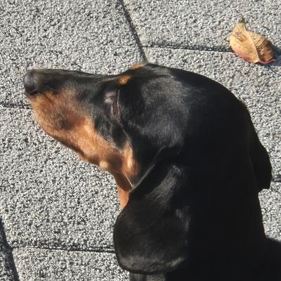 Stonex489's profile picture. 