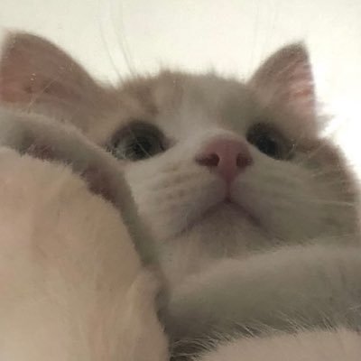 ozzmux's profile picture. 한 번의 기억이 평생을 살 게 한다는 말이 있대