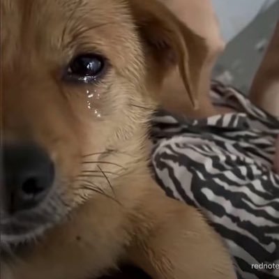 bannchantong's profile picture. 