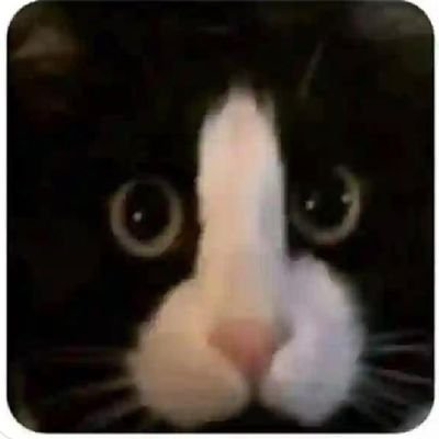 comedor22cm341's profile picture. comedor