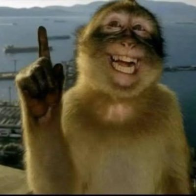 studyesd's profile picture. #studytwt | desde 2007 sonhando em ser médica!