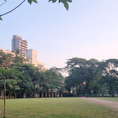 ManthanPashine's profile picture. Engineering Student | Coding Enthusiast | Electronics & IoT Projects | Learning, Building, Sharing Tech