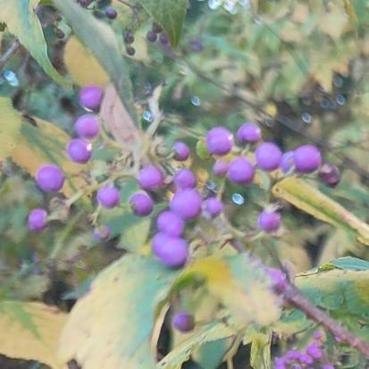 bS1ArYLOxP12440's profile picture. 花を愛でます。
女性差別には反対ですが、同様に男性差別にも反対ですし加担する気はございません。その事情でブロックさせていただくことは多いかと存じます。
ヘイトには付き合いませんし、一般の方に迷惑をおかけして味方を減らすことのなきように。全国民に関わりのあることは全国民が見ています。