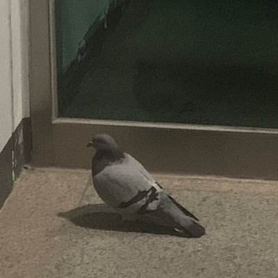 nyang20258's profile picture. 