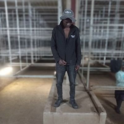 Diblex04's profile picture. 