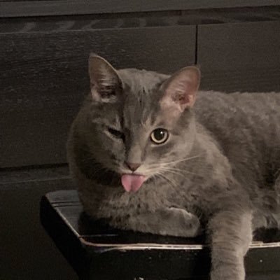 yx_07kd's profile picture. 