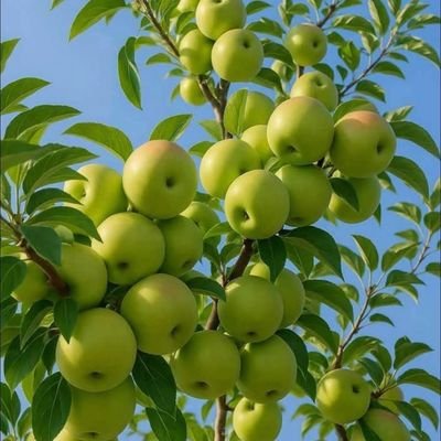 GodLovesPaul1's profile picture. My God will never disappoint me.