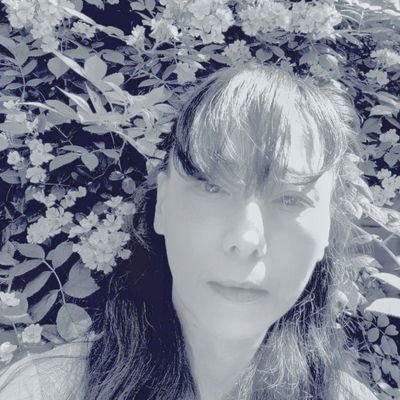 yukitoyonaga's profile picture. 豊永侑希 ─ 薔薇を育てて、絵を描きながら色々と思うこと