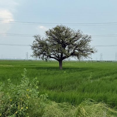 savneet82312649's profile picture. ਮਾਨਸ ਕੀ ਜਾਤ ਸਬੈ ਏਕੈ ਪਹਚਾਨਬੋ । Recognize the whole human race as one #Farmersprotest 🚜 #FreeSikhPrisoners #ZiraSanjhaMorcha #JusticeForSidhuMoosewala