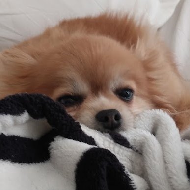 LBMandirin's profile picture. Hi I'm Pluto/Gabriel | 21 | Content sludge | Multifandom | Mexican

I run @/Piss__Gremlin and @/Siegward_bot