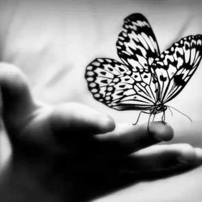 Pavithara169254's profile picture. 