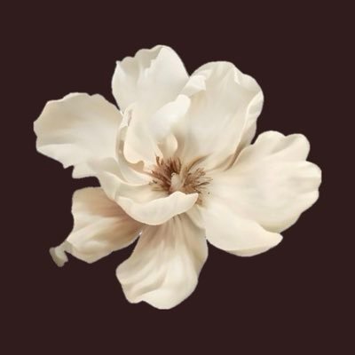 Lumm44's profile picture. for your own peace, let things be