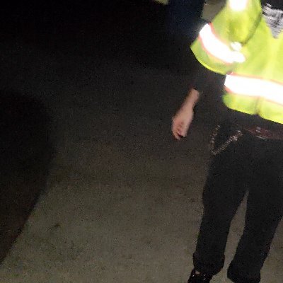 wlve__'s profile picture. fish - 5 track ep - releasing 12.20.25