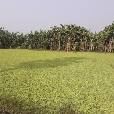 simple_asad's profile picture. A person with simple goal to live and let others live as much as equal possible.

God made world imperfect/unequal but gave us power to make it perfect/equal.