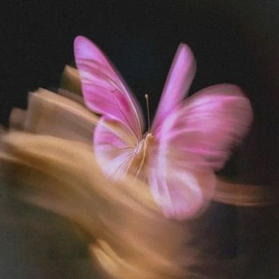 ste_21c's profile picture. 