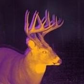 psykoticwmn's profile picture. welcome 2 my fucked up diary