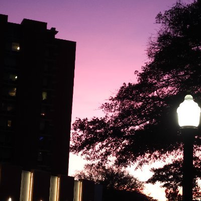 diamond03229047's profile picture. SharpJS dev, Programmer 
Contributor for https://t.co/VudHacMTWM