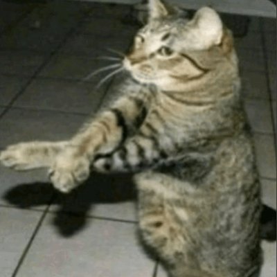 peni_izayoi's profile picture. 27