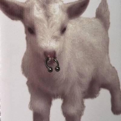 maiiicha3's profile picture. artist based in MY ˖᯽ ˖· contact: mai444calico@gmail.com