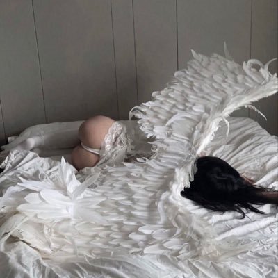 plsperyhnx's profile picture. (+🐕)