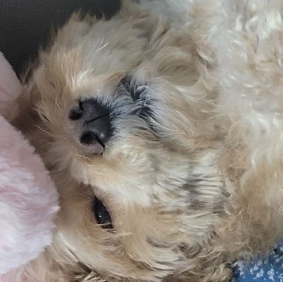 eeedo911's profile picture. 야 너만친구있는줄아냐 어 잘알았어