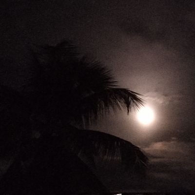 MSpriya_21's profile picture. ✨💜🌠 (7🖇️📌)                                                        

   🍀🐪(🤍)      💚(⁠^⁠^⁠)  💛(🐈)  🪐(✨)