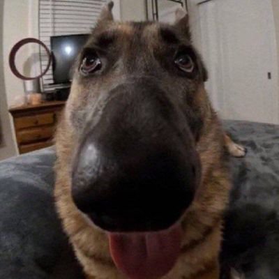 G2Fiora's profile picture. 21
• Mediocre F1 casual
• PTA Leona (Top) Prophet
• Oathkeeper-Monarque enjoyer (RIP @ 23/05/23)