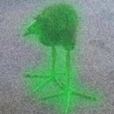 iateradiation's profile picture. dan 🜏 18+ acc 🜏 lurker 🜏 my love @maniacmajin