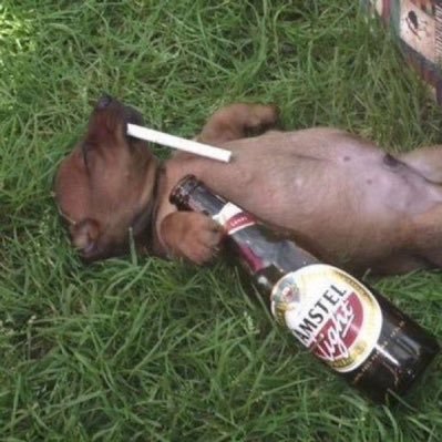 impattski's profile picture. 🎨 ARTIST📽️EDITOR 🇧🇬 (priv: @plshugmeforever)