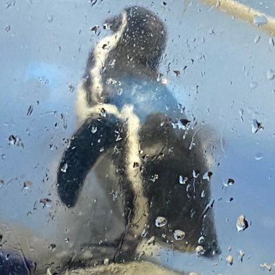 mabobiba's profile picture. きらめきを掠め取りたいオタク