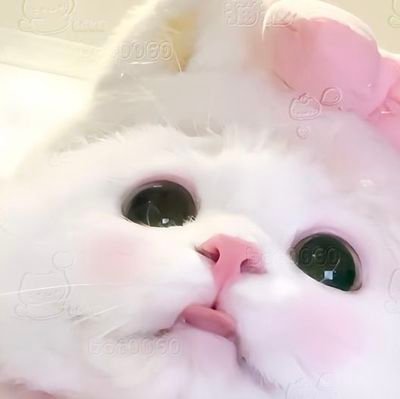 bhautys's profile picture. คนไทยต้องไปคอน😚